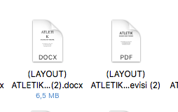 Template Layout MS Word